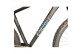 ENERGY Enigma 29" race
