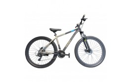 ENERGY Enigma 29'' Disc