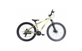 ENERGY Enigma 29'' Disc